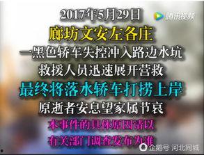 文安网友爆料新闻最新视频,视频揭露惊人真相！