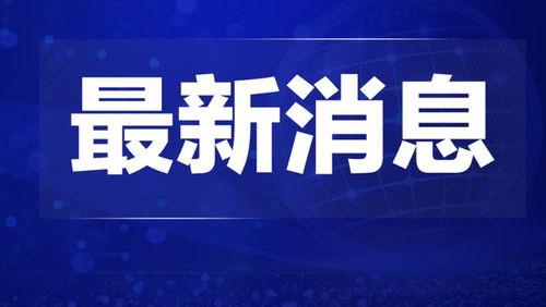 热点新闻爆料解说大全最新,爆料解说大全深度剖析